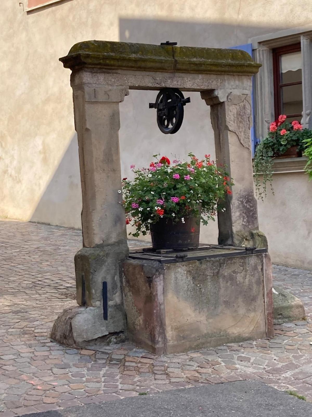 La Grange 1578 - Maison 4 Etoiles - Centre Ville - Commerce A Proximite Obernai Bagian luar foto